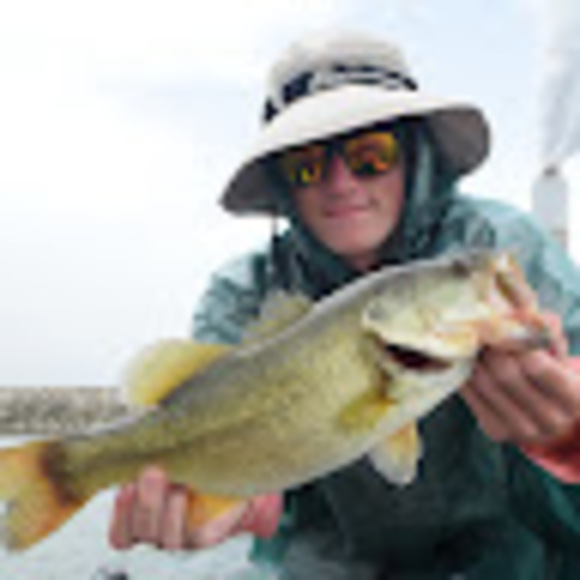 Meet your Posher, Dylan - Picture 1 of 1